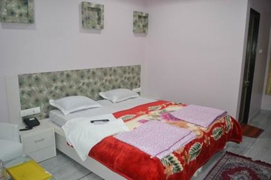 Hotel Gayatri Inn